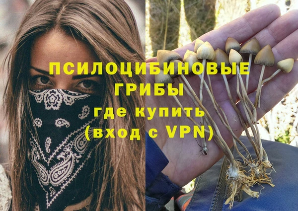 ешки Абдулино