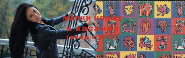 крисы Абаза